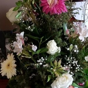 Meet your Posher, Norma